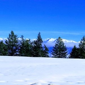 Meet your Posher, Kari